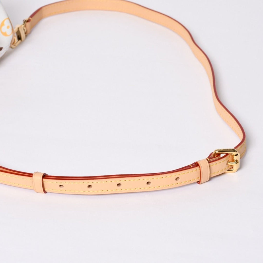 Louis Vuitton Nano Speedy Handbag Monogram Multicolor White Takashi Murakami — view 6
