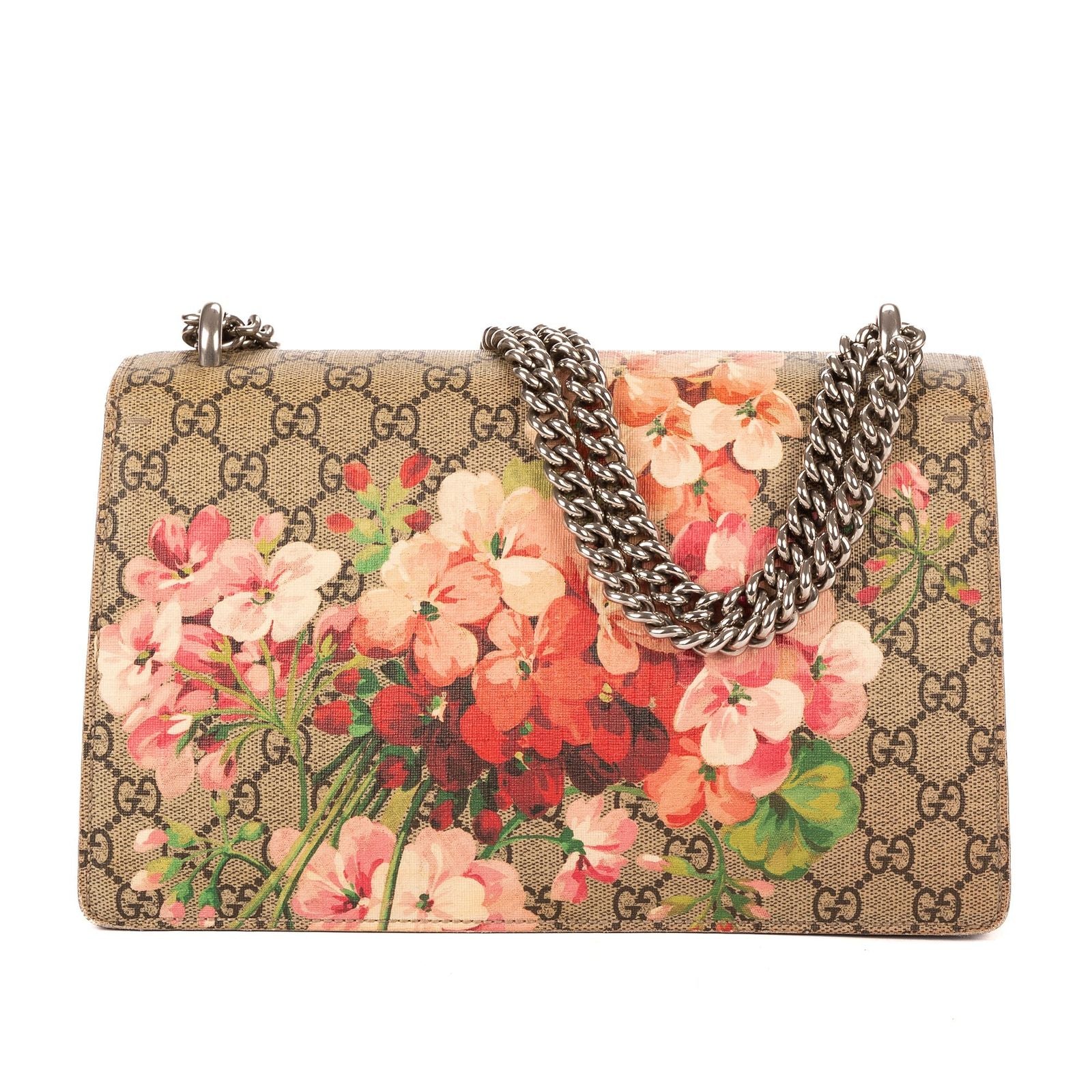 Gucci Bromus Dionysus Beige Burgundy Blue Muz Supreme Pvccanvas — view 5