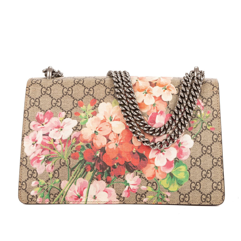 Gucci Bromus Dionysus Beige Burgundy Blue Muz Supreme Pvccanvas — view 5