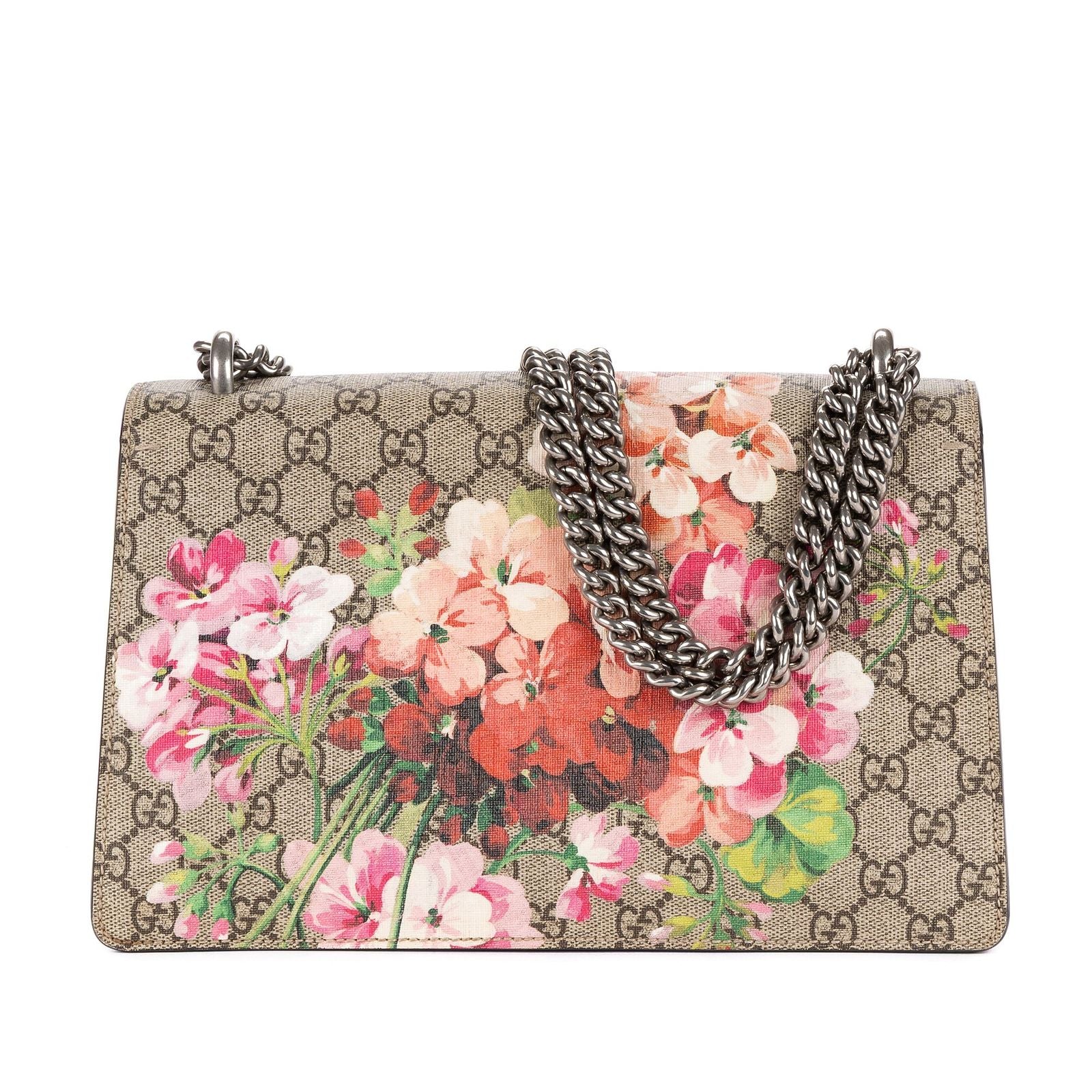 Gucci Bromus Dionysus Beige Burgundy Blue Muz Supreme Pvccanvas — view 5