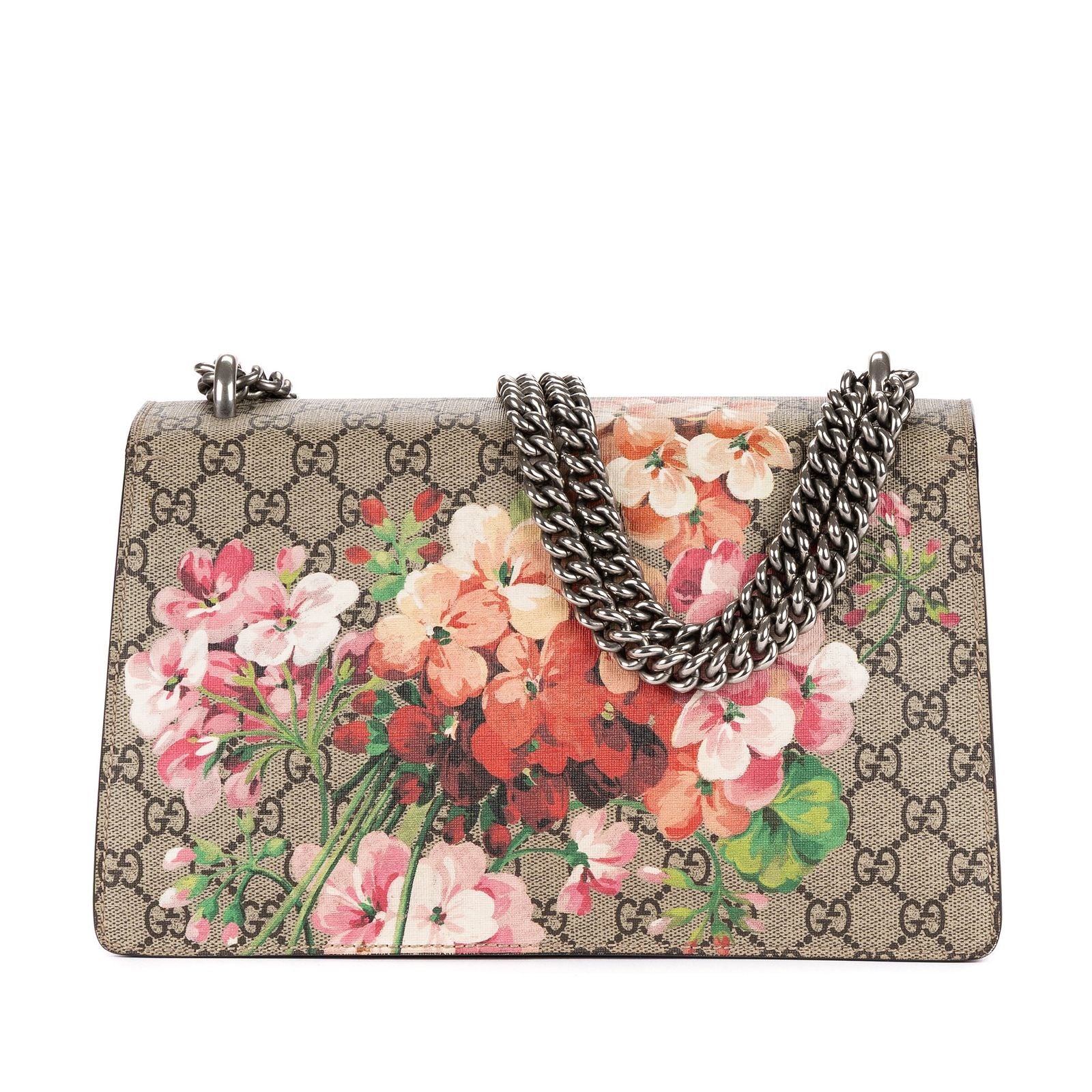 Gucci Bromus Dionysus Beige Burgundy Blue Muz Supreme Pvccanvas — view 5