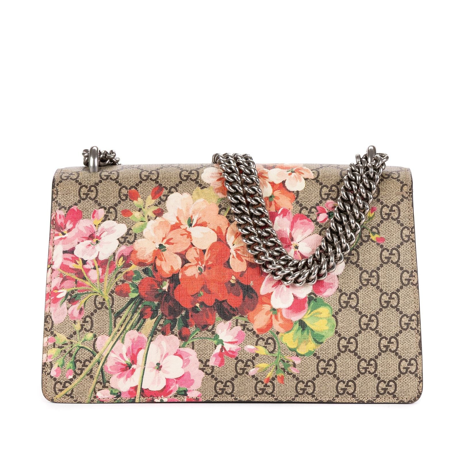 Gucci Bromus Dionysus Beige Burgundy Blue Muz Supreme Pvccanvas — view 5