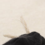 Loewe Scarf Anagram Beige Wool — view 5