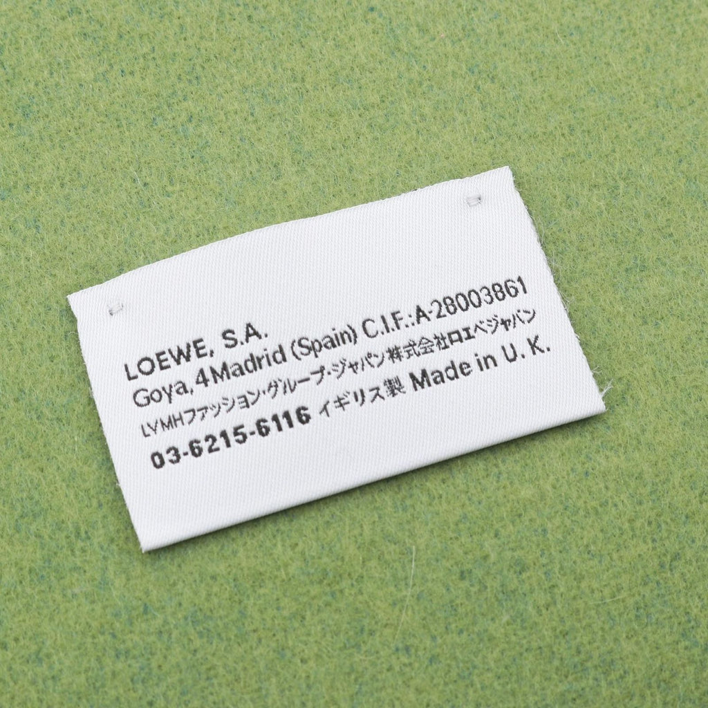 Loewe Scarf Anagram Bicolor Green Wool — view 3