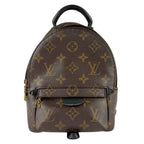 Louis Vuitton Backpack Palm Springs Mini