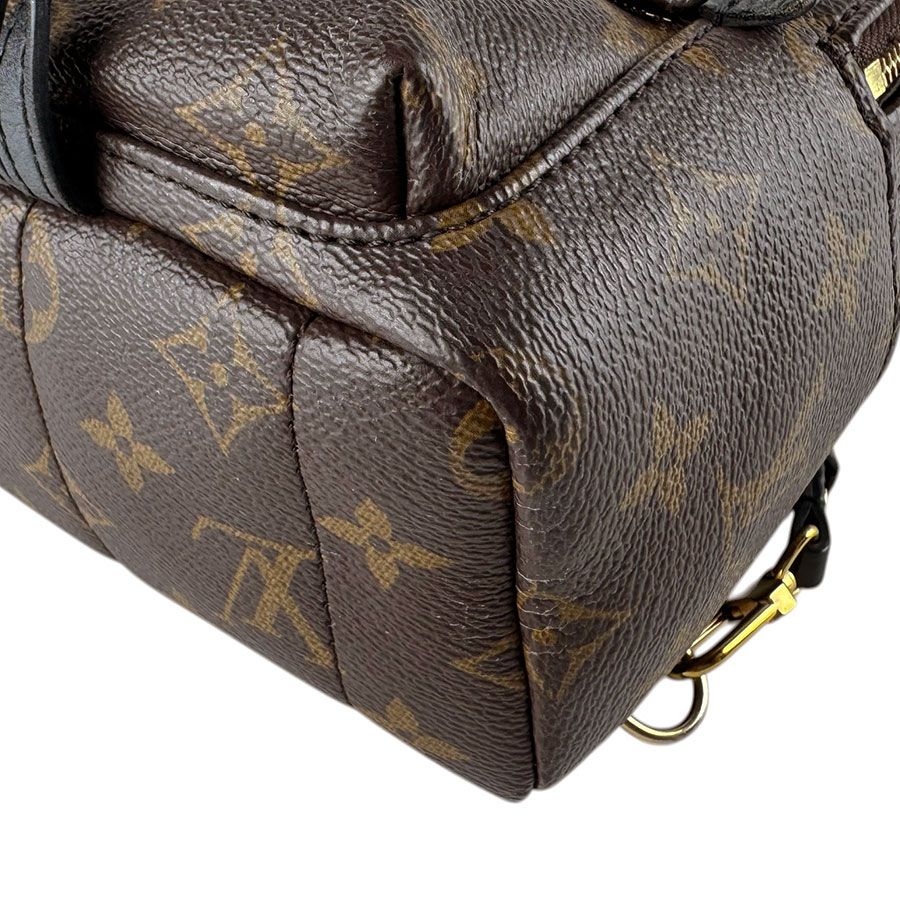 Louis Vuitton Backpack Palm Springs Mini — view 9