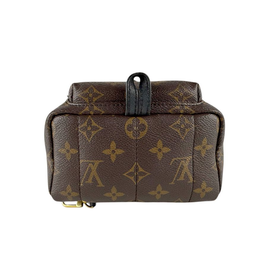Louis Vuitton Backpack Palm Springs Mini — view 4
