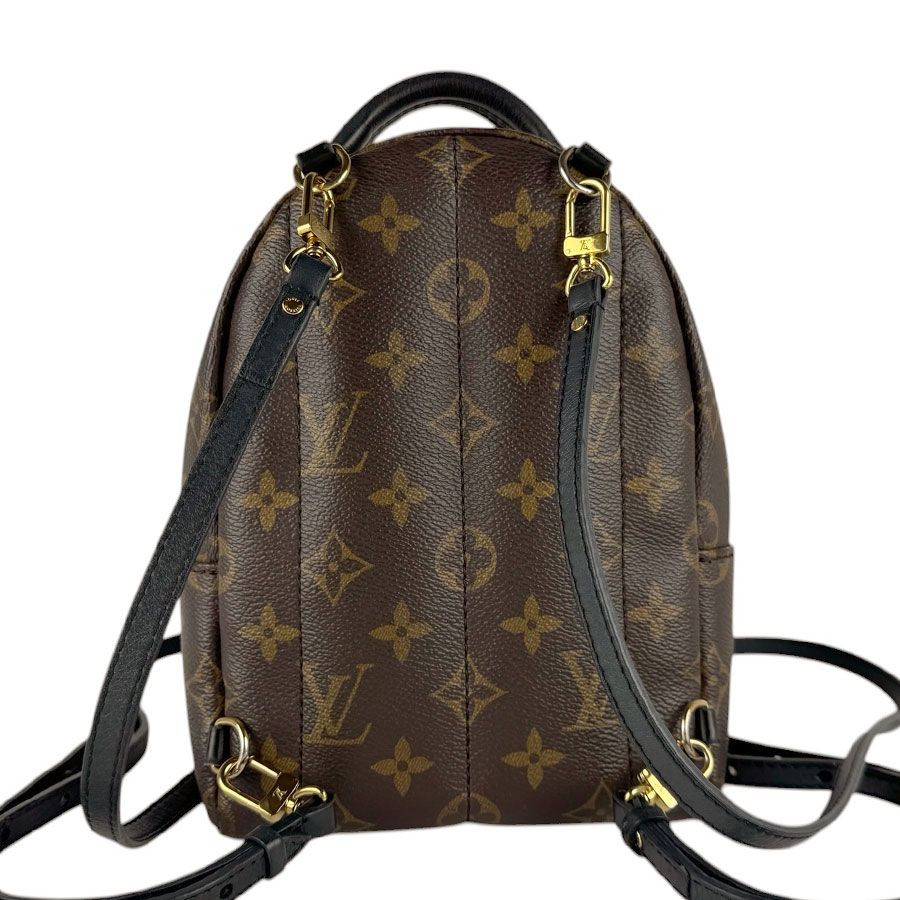 Louis Vuitton Backpack Palm Springs Mini — view 3