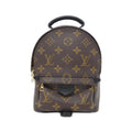 Louis Vuitton Monogram Palm Spring Backpack Mini Sac