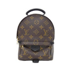 Louis Vuitton Monogram Palm Spring Backpack Mini Sac