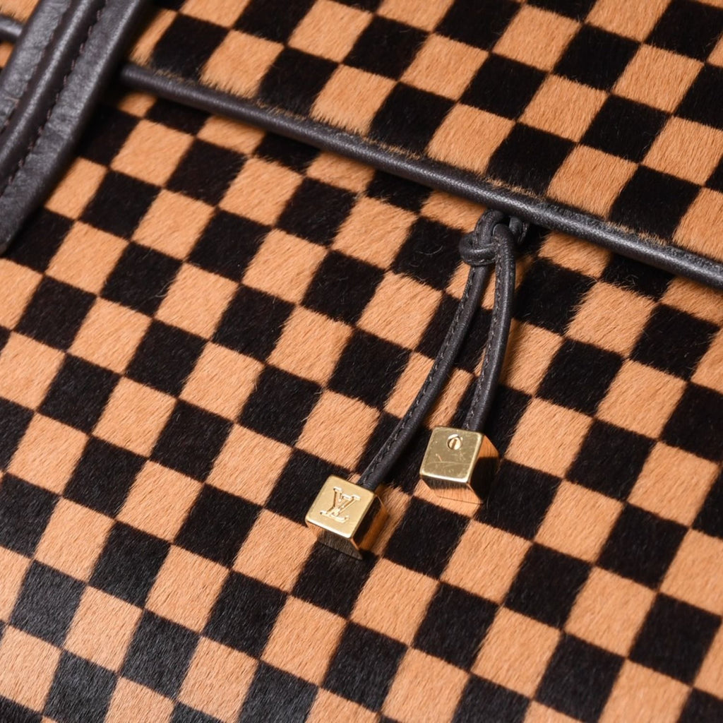 Louis Vuitton Lion Handbag Brown Leather Damier Sauvage Gold — view 6