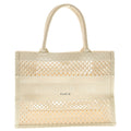 Dior Book Tote Handbag Mesh Ivory Cream Canvas