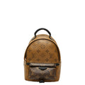 Louis Vuitton Monogram Reverse Palm Springs Mini Backpack Black Brown Leather
