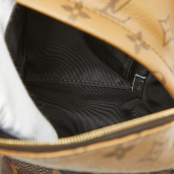 Louis Vuitton Monogram Reverse Palm Springs Mini Backpack Black Brown Leather — view 8