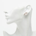Chanel CC Logo Earrings Silver Metal — view 5