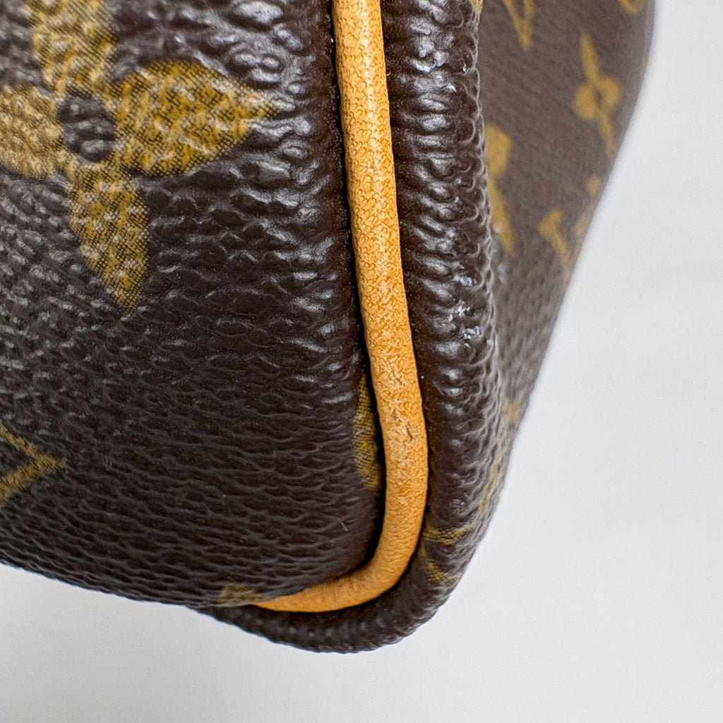 Louis Vuitton Speedy 25 Handbag Monogram Brown — view 3