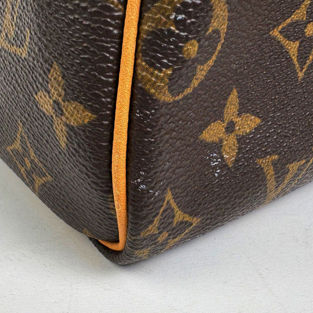 Louis Vuitton Speedy 25 Handbag Monogram Brown — view 4