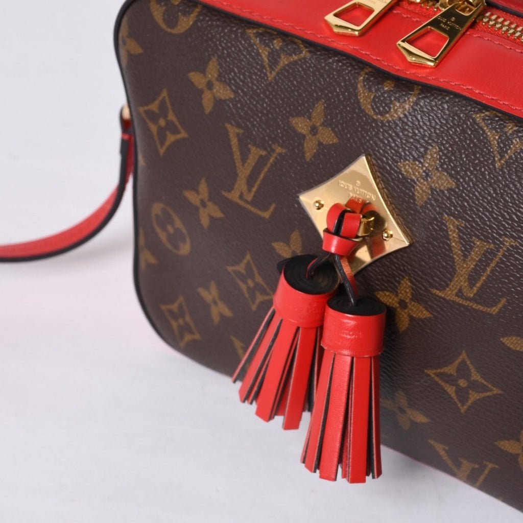 Louis Vuitton Shoulder Bag Saintonge Freesia Brown Red Gold — view 5