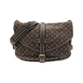 Louis Vuitton Monogram Mini Lin Saumur 30 cm