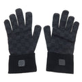 Louis Vuitton Gon Neopetit Damier Gloves