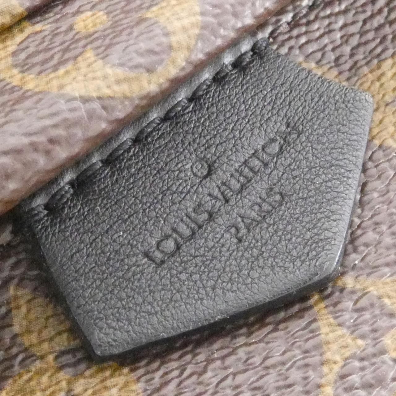 Louis Vuitton Monogram Palm Spring Backpack Mini Sac — view 6