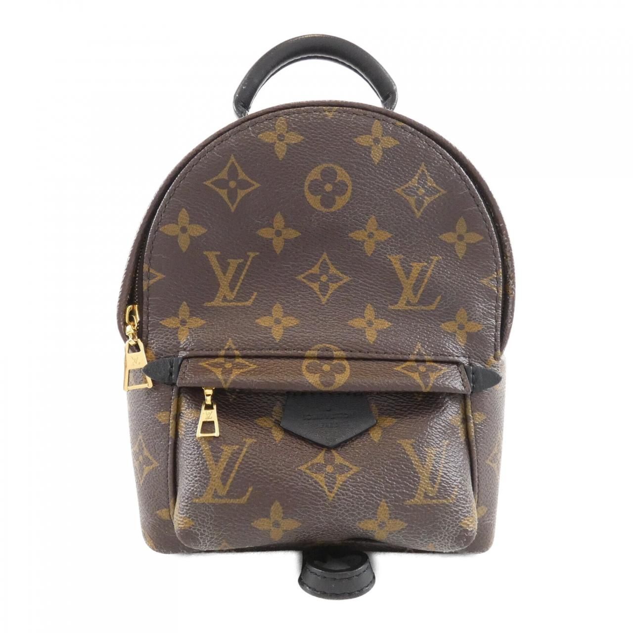 Louis Vuitton Monogram Palm Spring Backpack Mini Sac