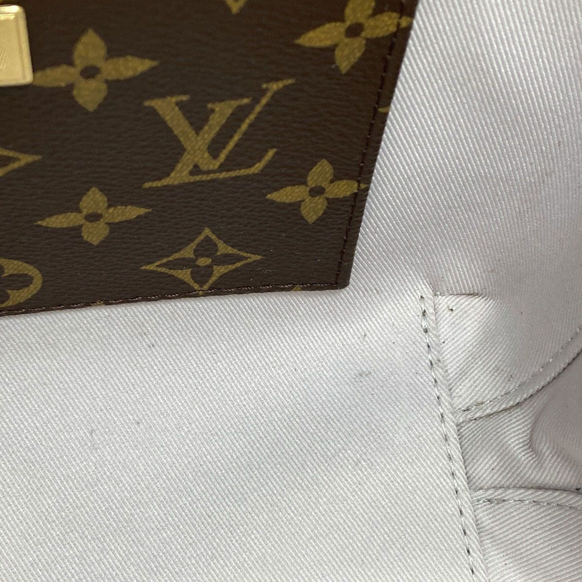 Louis Vuitton Venice Shoulder Bag Vernis — view 9