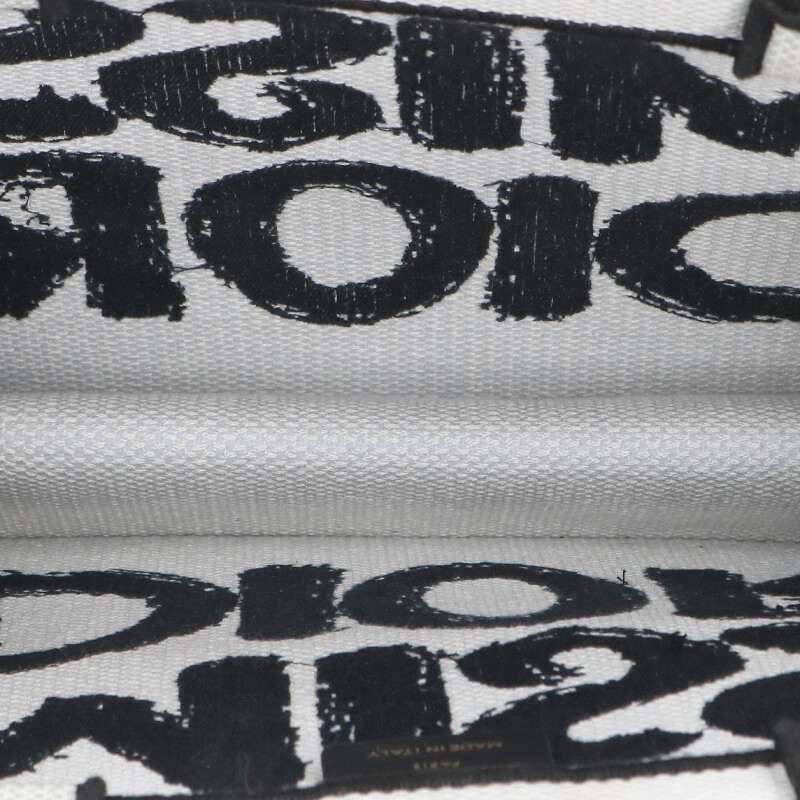 Dior Book Tote Paint Logo — view 3