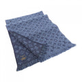 Louis Vuitton Monogram Classic Scarf