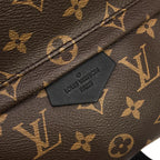 Louis Vuitton Monogram Palm Springs Backpack MM Sac — view 4