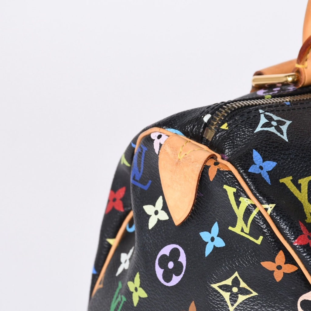 Louis Vuitton Speedy 30 Handbag Monogram Multicolor Black Gold Takashi Murakami — view 4
