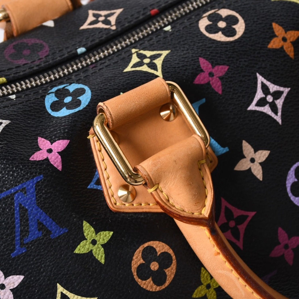 Louis Vuitton Speedy 30 Handbag Monogram Multicolor Black Gold Takashi Murakami — view 8