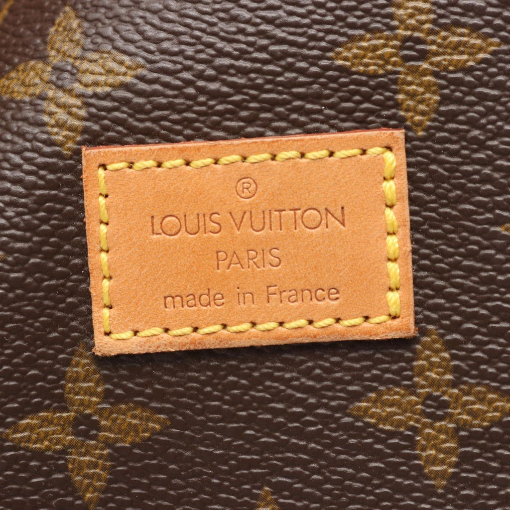 Louis Vuitton Shoulder Bag Saumur 30 Canvas Leather — view 5