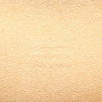Louis Vuitton Waist Bag Pochette Florentine Canvas Leather — view 4