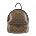 Louis Vuitton Monogram Palm Springs Backpack MM Sac