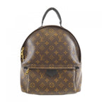 Louis Vuitton Monogram Palm Springs Backpack MM Sac
