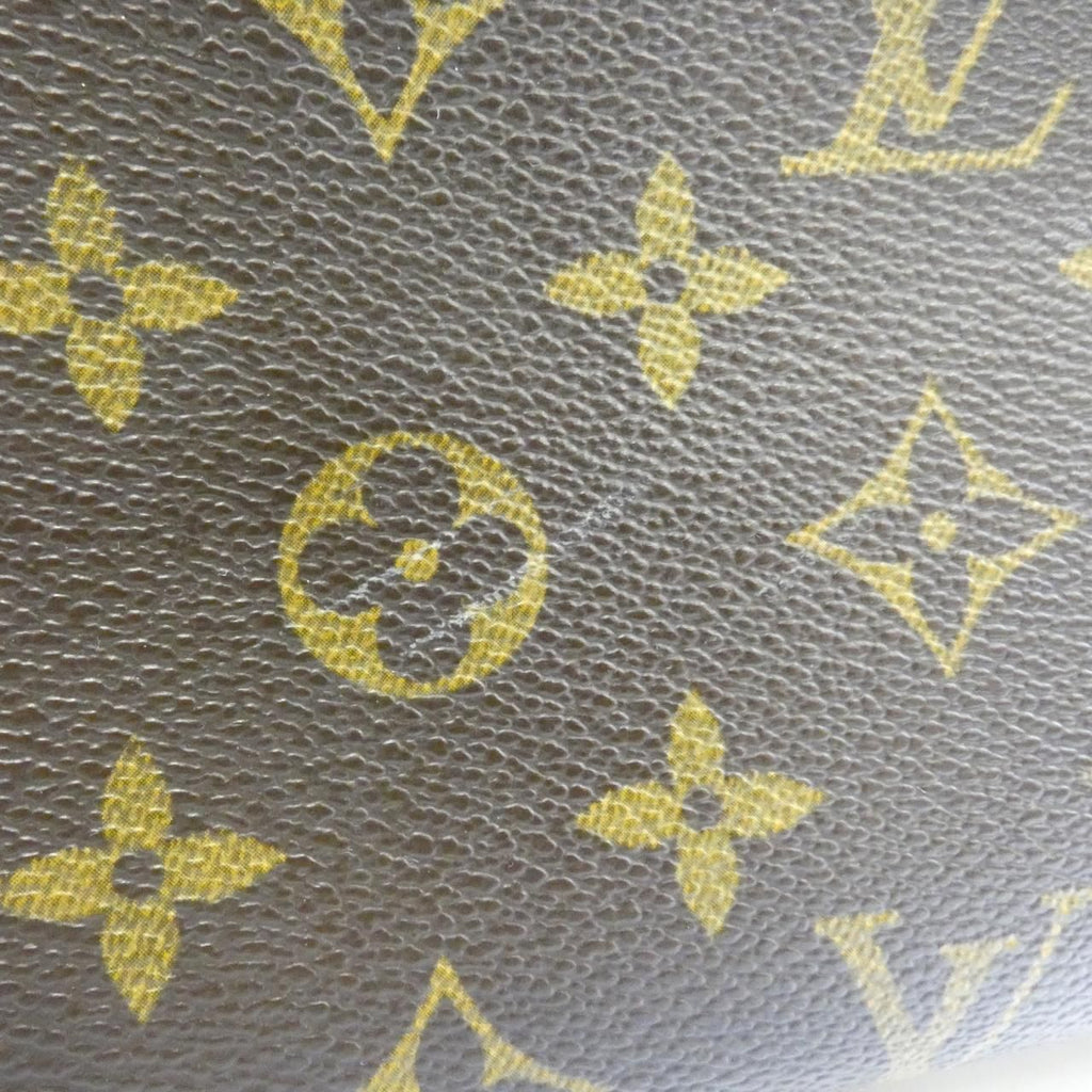 Louis Vuitton Monogram Nile Shoulder Bag — view 4