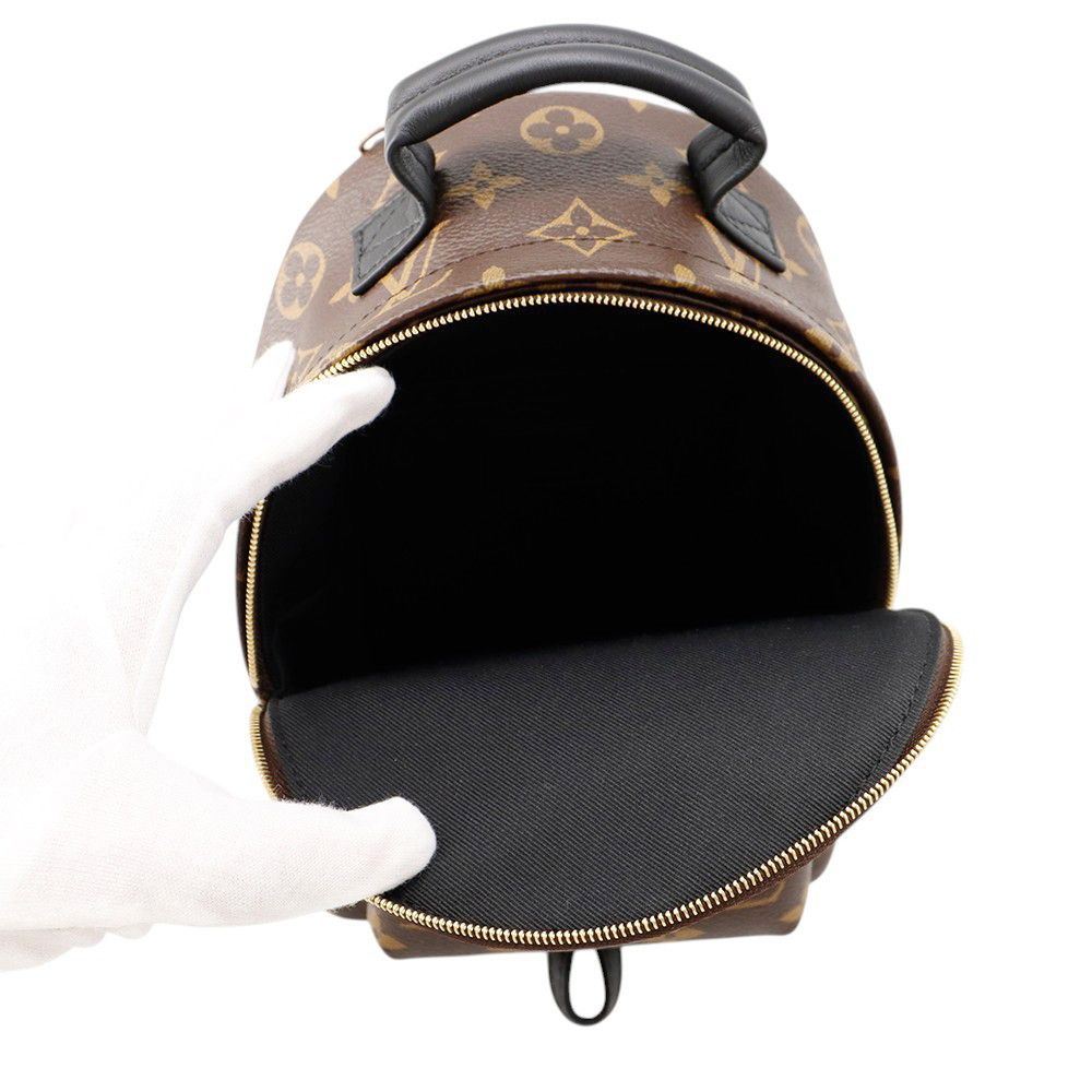 Louis Vuitton Monogram Palm Springs Backpack Mini Bag — view 6