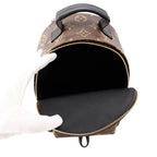 Louis Vuitton Monogram Palm Springs Backpack Mini Bag — view 6