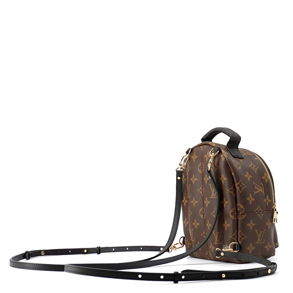 Louis Vuitton Monogram Palm Springs Backpack Mini Bag — view 2