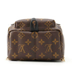 Louis Vuitton Monogram Palm Springs Backpack Mini Bag — view 4