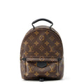 Louis Vuitton Monogram Palm Springs Backpack Mini Bag