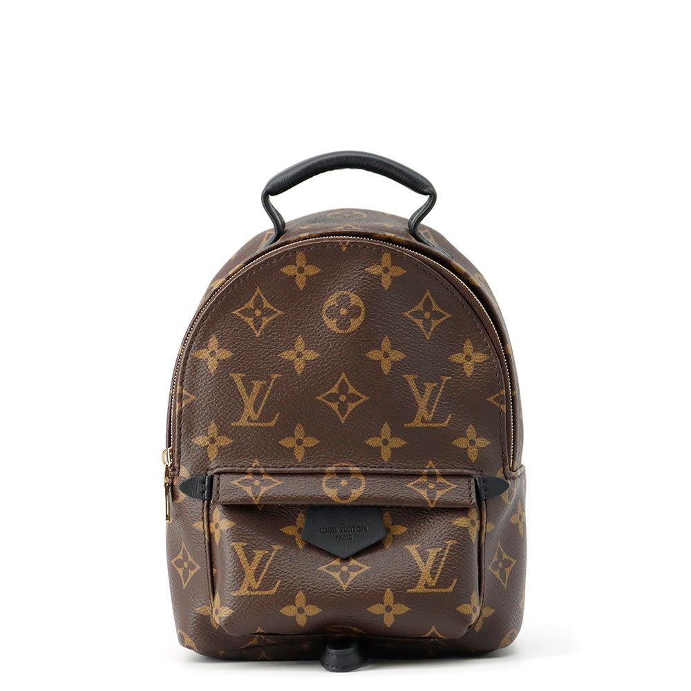 Louis Vuitton Monogram Palm Springs Backpack Mini Bag