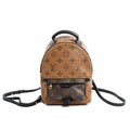 Louis Vuitton Backpack Palm Springs Mini