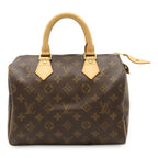 Louis Vuitton Monogram Speedy 25 Mini Boston Bag