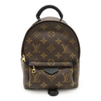 Louis Vuitton Monogram Palm Springs Backpack Mini Sac Mini 2-Way