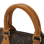 Louis Vuitton Monogram Mini Speedy Mini Bag Pouch Case — view 5