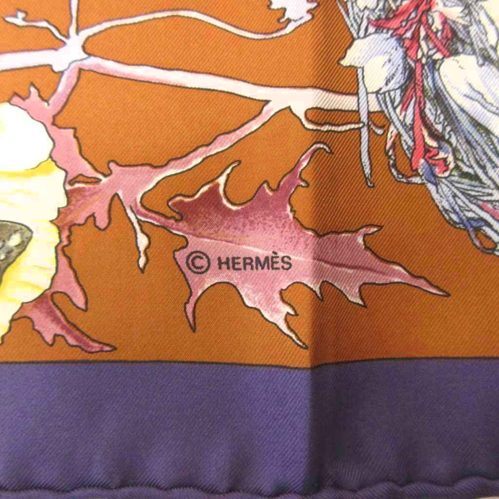 Hermes Carre 90 Faune Et Flore du Texas Illustrated Encyclopedia of Fauna — view 7