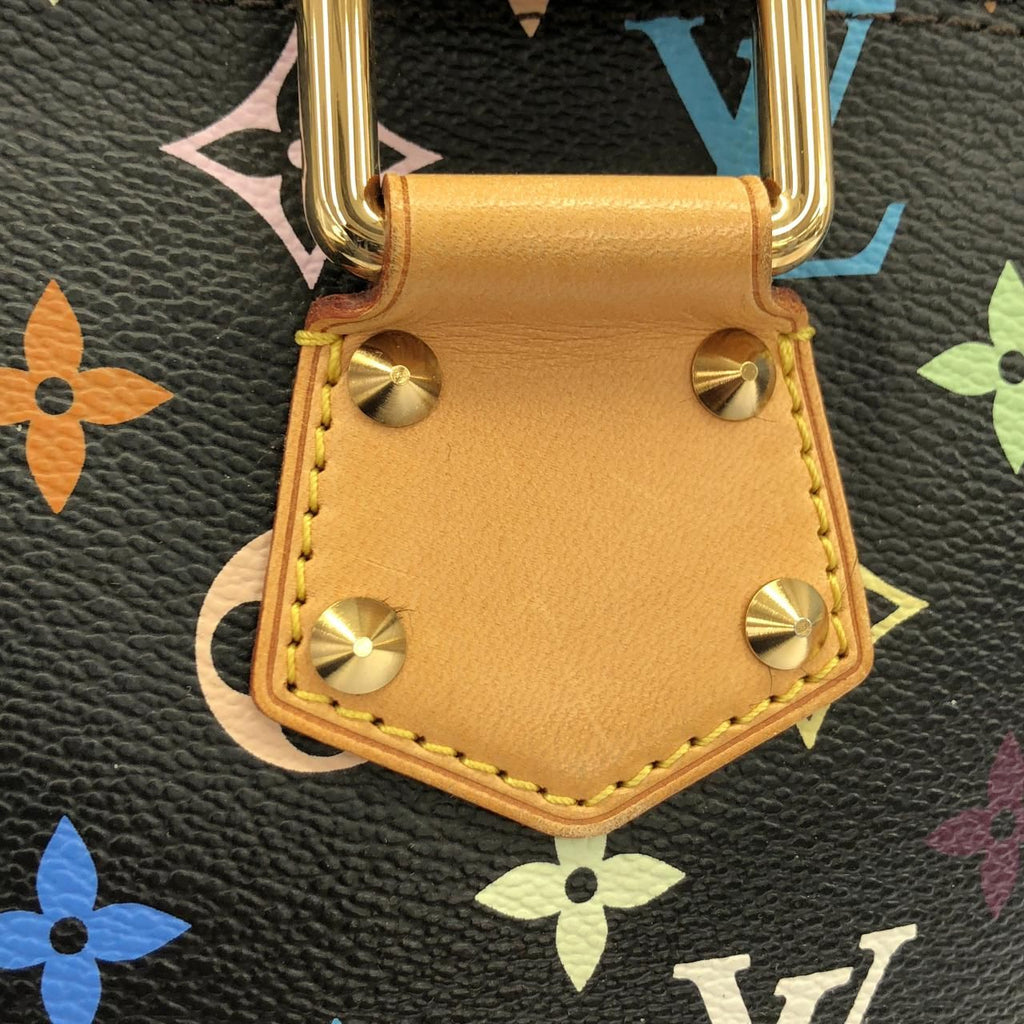 Louis Vuitton Multicolor Alma PM Bag — view 6