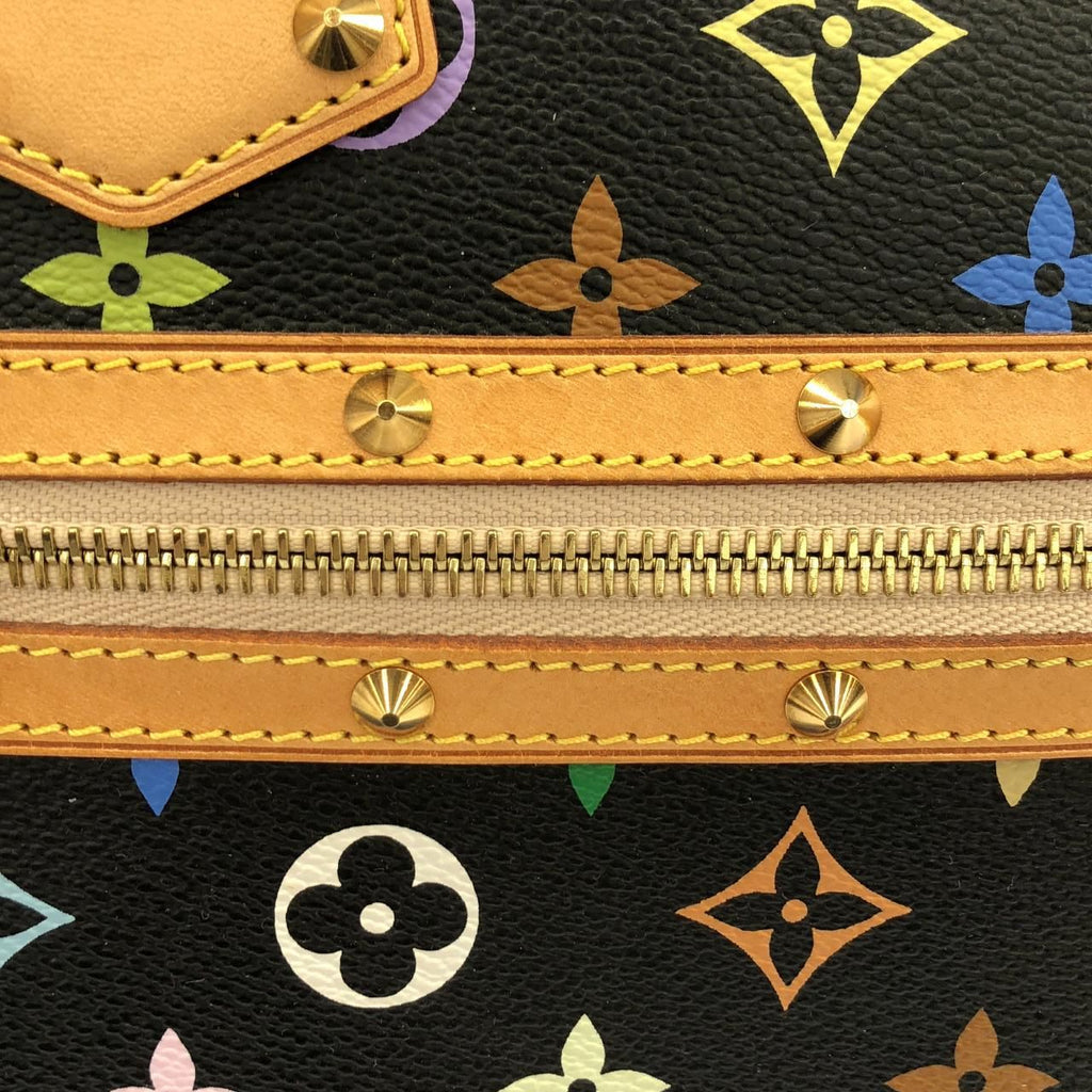 Louis Vuitton Multicolor Alma PM Bag — view 5